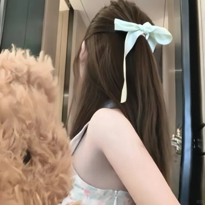 成凰录